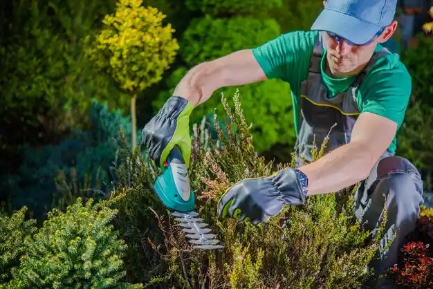 landscaping services Lawton